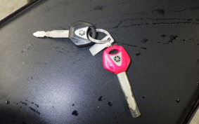 YAMAHA FZ1 FAZER 2011 RN21J