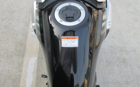 SUZUKI STROM 250 DS12E