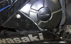 KAWASAKI NINJA 250 EX250L