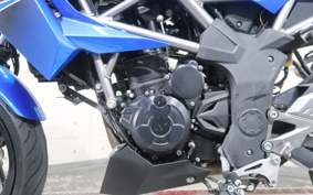 KAWASAKI Z250 SL BR250E