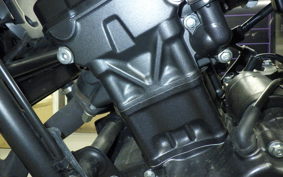 HONDA REBEL 250 S 2012 MC49