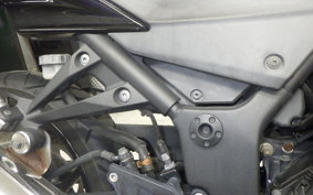 KAWASAKI NINJA 250R 2025 EX250K