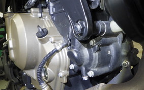 HUSQVARNA SVARTPILEN 401 2024