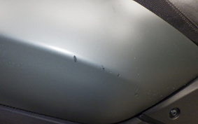 YAMAHA TRICITY 300 2021 SH15J