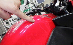 HONDA CB250FA 2007 MC43