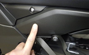 KAWASAKI NINJA 1000 SX 2025 ZXT02K