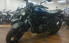 HARLEY X500 2024 W5B