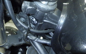 KAWASAKI NINJA 250 ABS EX250L