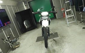 KAWASAKI KLX250 Gen.2 2006 LX250S