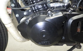 OTHER MUTT250 2017