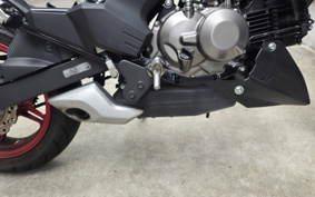 KAWASAKI Z125 PRO BR125H