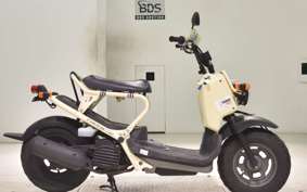 HONDA ZOOMER 2019 AF58