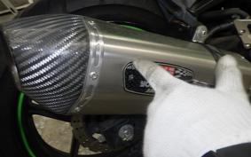KAWASAKI NINJA 250R 2024 EX250K