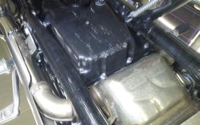 TRIUMPH BONNEVILLE T100 2024