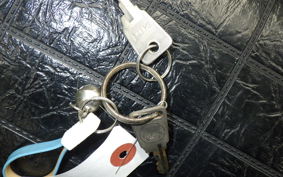 HONDA MONKEY 2002 Z50J