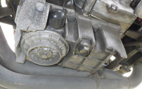 HONDA HORNET 250 MC31