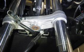 SUZUKI Vｽﾄﾛｰﾑ650XTA 2025 C733M