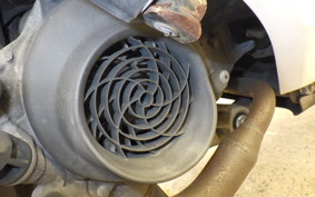 HONDA DIO 110 JF31