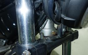 YAMAHA TRICKER DG10J