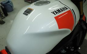 YAMAHA XSR900 2024 RN80J