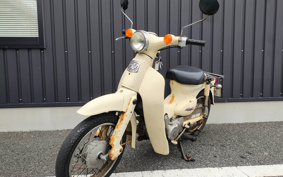 HONDA LITTLE CUB C50