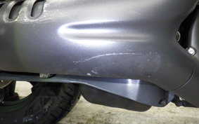 HARLEY RH975 2022