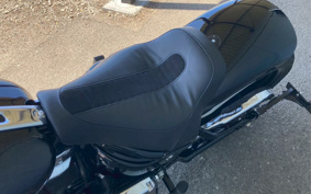 HARLEY FLFBS 2022 YGK