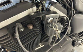 HARLEY XL883N 2010 LE2