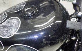 HARLEY XL1200NS 2021