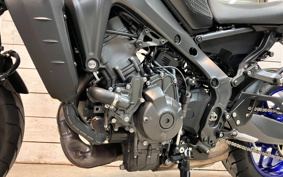 YAMAHA MT-09 ABS 2022 RN69J