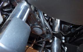 KAWASAKI NINJA7ﾊEVEﾘｯﾄ 2025 CX500A