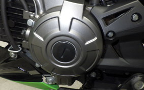 KAWASAKI Z125 PRO 2025 BR125H