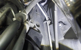 HONDA LEAD 110 2026 JF19