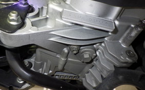 YAMAHA CYGNUSｸﾞﾘﾌｧｽ 2002 SEJ4J