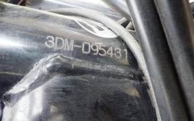 YAMAHA VIRAGO 250 TRIKE 3DM