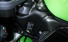 KAWASAKI NINJA ZX-6R A 2021 ZX636G