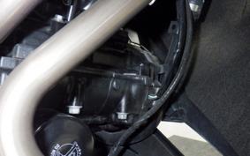 KAWASAKI NINJA 250 2022 EX250L