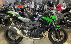 KAWASAKI Z250 EX250Y