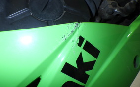 KAWASAKI NINJA 250 EX250L