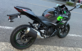 KAWASAKI NINJA 250 EX250Y