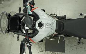 TRIUMPH TIGER 900 RALLY PRO 2026