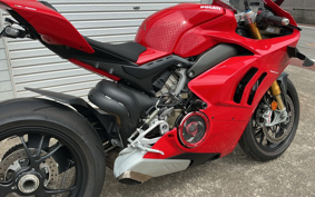 DUCATI PANIGA-REV4S 2021 DA00J