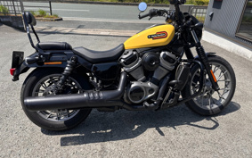 HARLEY  HARLEY RH975S NIGHT  STAR  2023 ZF1