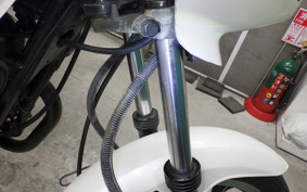 KAWASAKI GPZ250 2021 EX250C