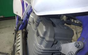 YAMAHA TT250R 2024 4GY