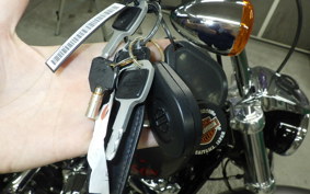 HARLEY FXLR1750 2019