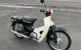 HONDA SUPER CUB50 C50