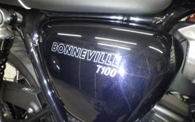 TRIUMPH BONNEVILLE T100 2024