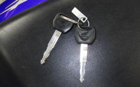 HONDA HORNET 250 2025 MC31