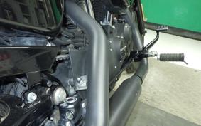 HARLEY XL1200NS 2019